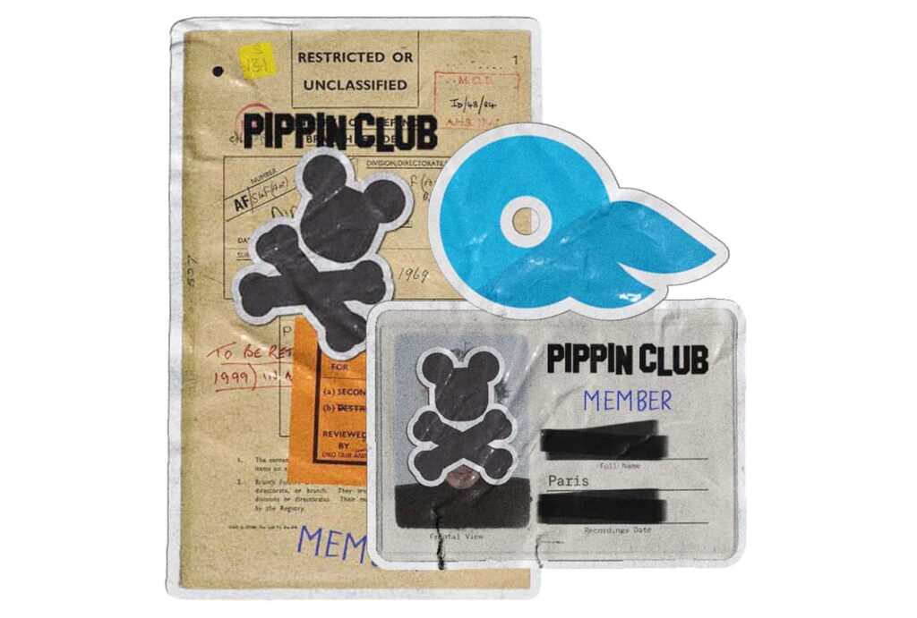 Step-by-Step Guide to Model Release Form on OnlyFans - Pippin Club