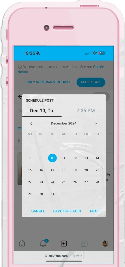 screenshot showing the onlyfans scheduling feature