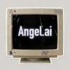 Angel.ai Review — Pippin Club review