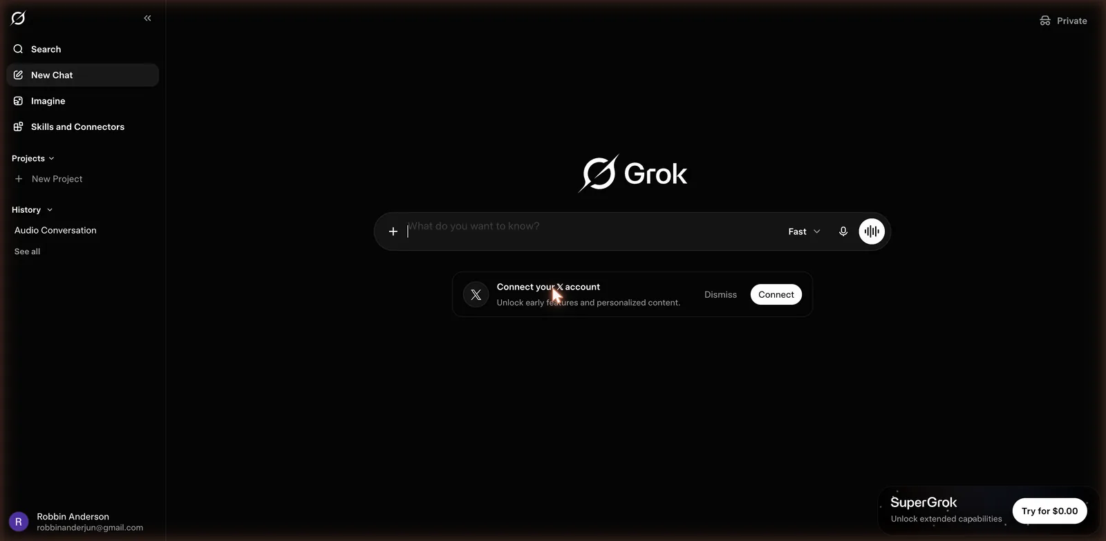 Grok web interface home screen with chat box, New Chat, Imagine and Skills and Connectors in the sidebar