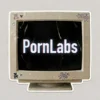 PornLabs — Pippin Club review