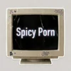 Spicy Porn AI — Pippin Club review
