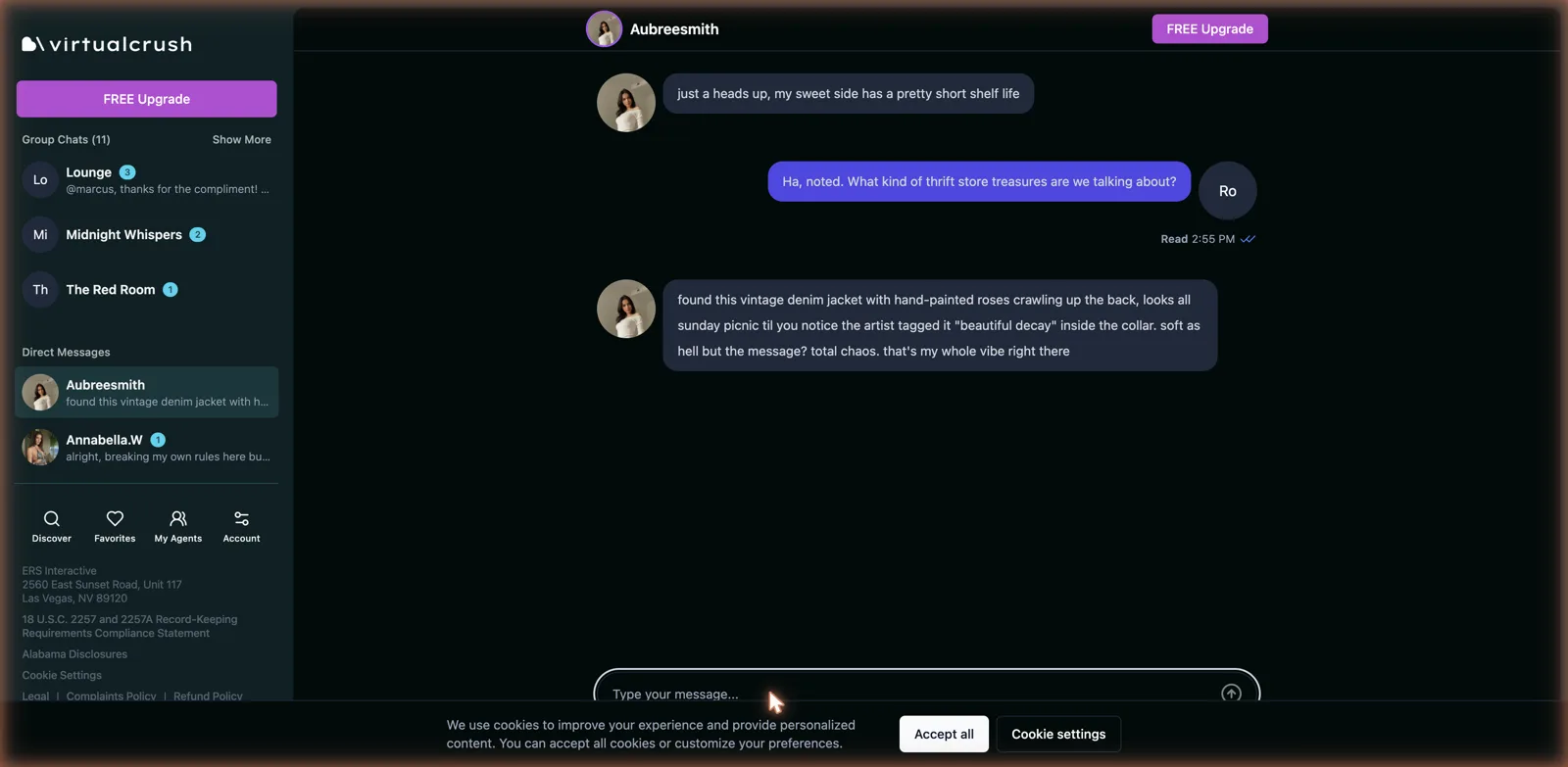 VirtualCrush direct message chat styled like a messaging app