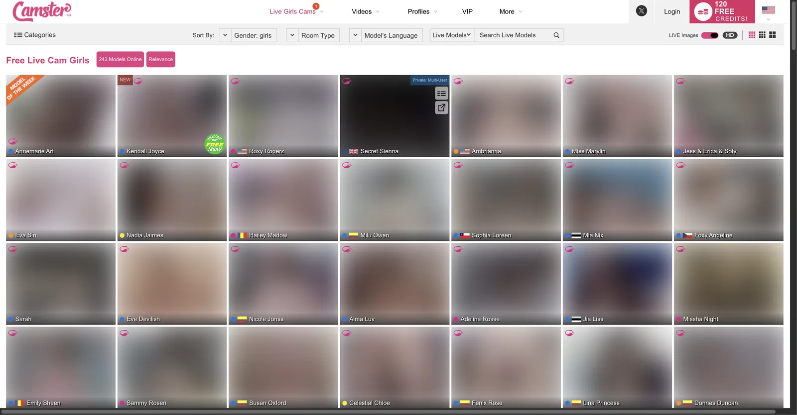 Camster home page showing a grid of room tiles with country flags, status dots and badges, above a models online count