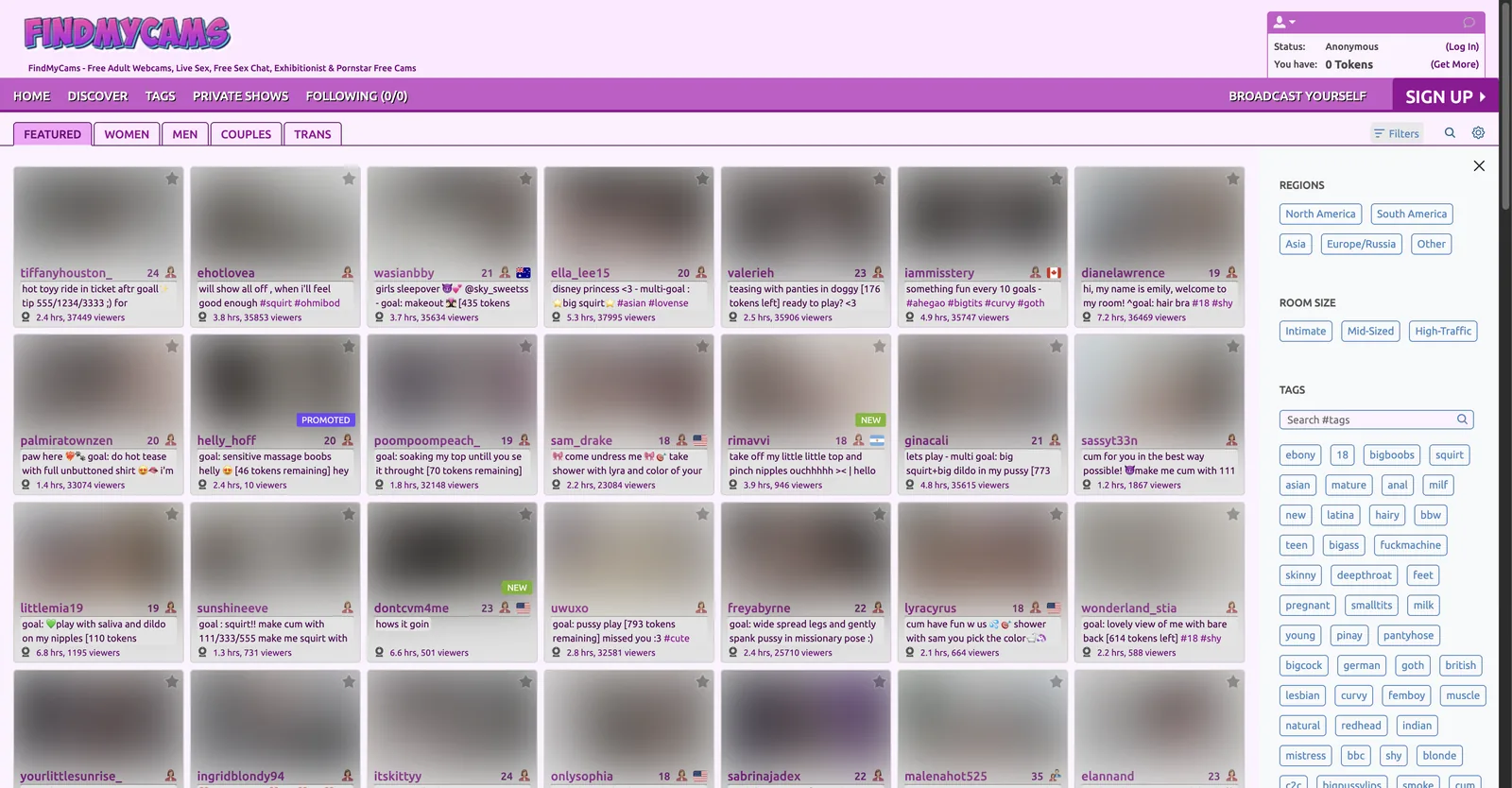 FindMyCams home page showing a grid of room tiles with goal text and viewer counts, beside a filter rail of regions, room size and tags