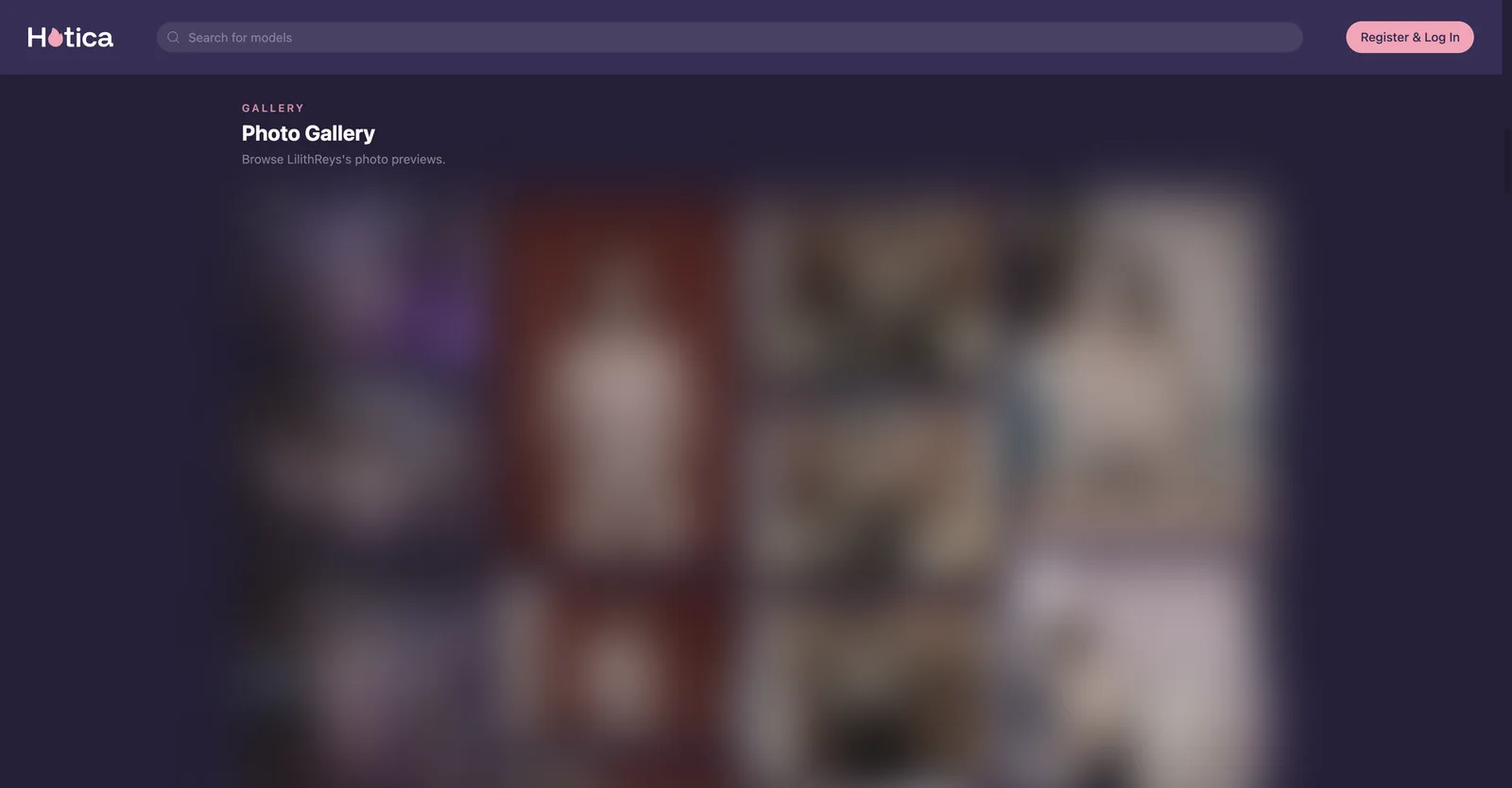 The photo gallery section of a Hotica profile showing a grid of preview thumbnails