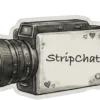 StripChat Review (2026) — Pippin Club review