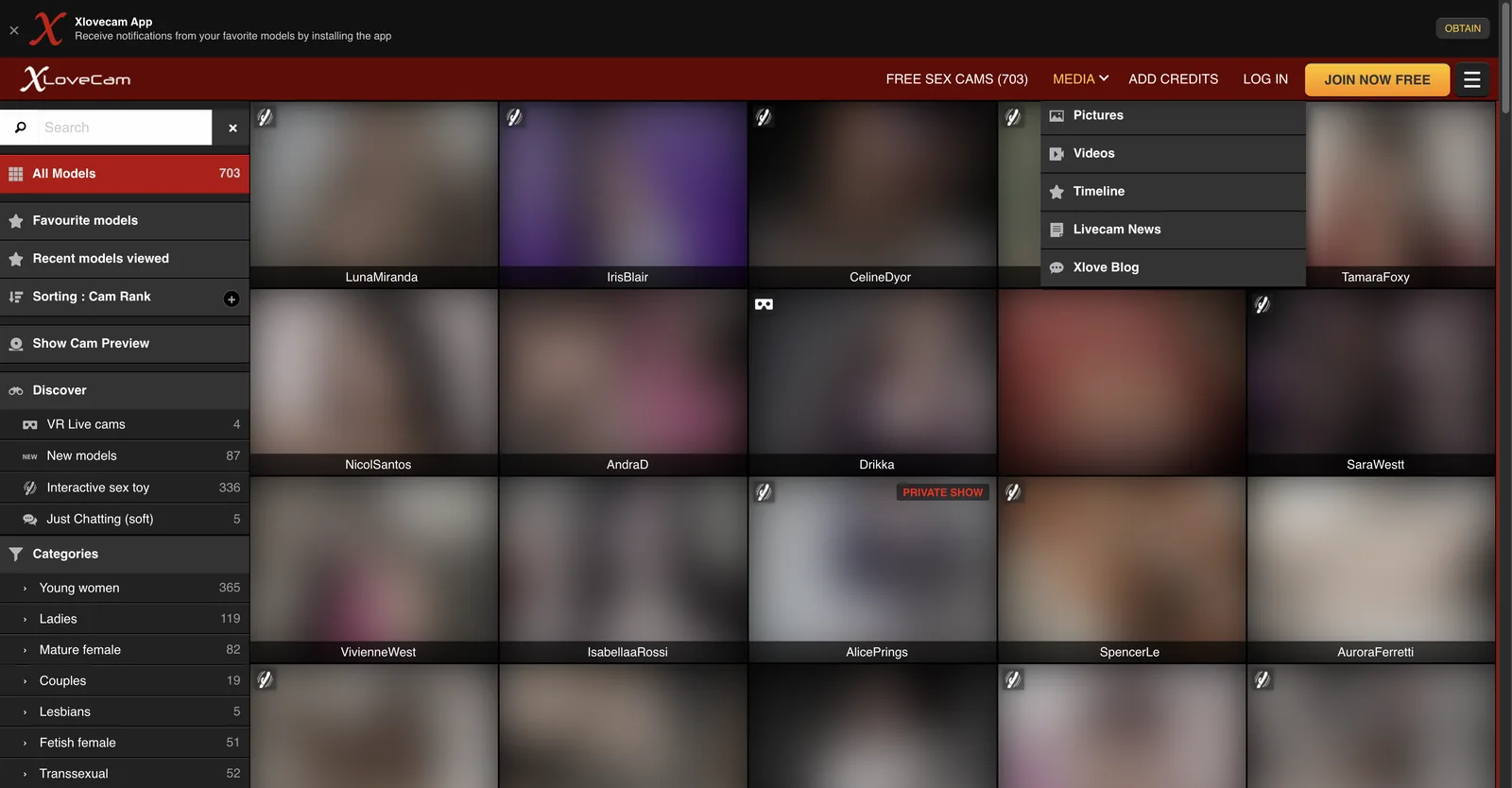 XloveCam grid with the media menu open, listing pictures, videos, a timeline, livecam news and the site blog