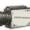 777livecams Review (2026) — Pippin Club review