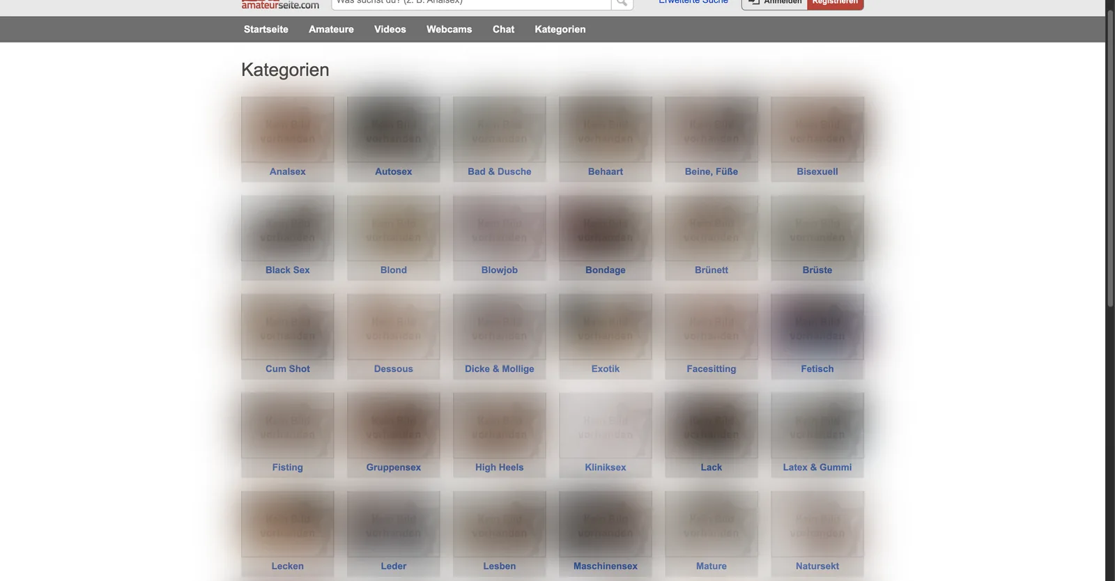 AmateurSeite category page listing 46 German content categories from Analsex through to Transsexuell