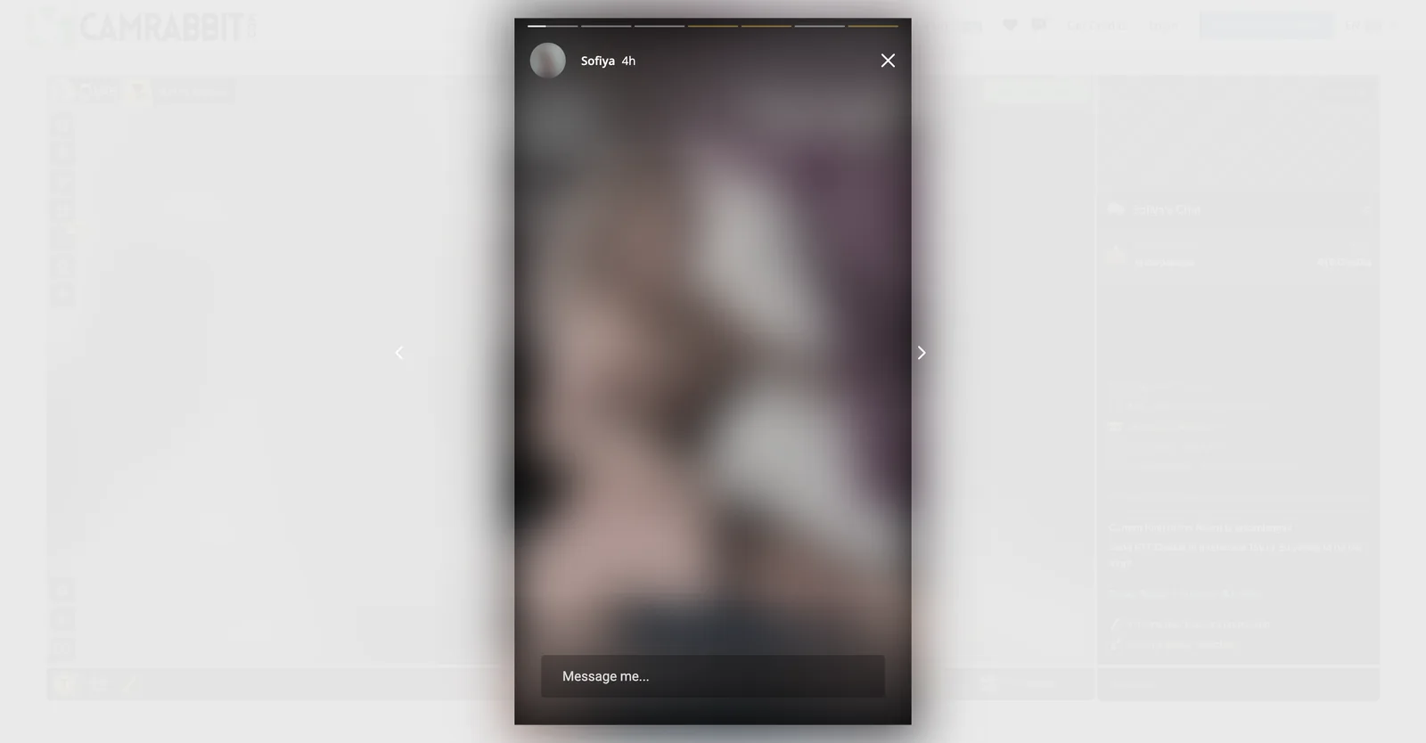 CamRabbit My Story viewer with segmented progress bars along the top, a timestamp and a message prompt at the bottom