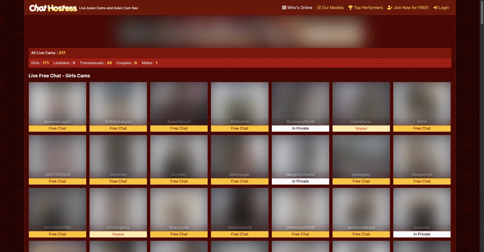 Chathostess home page with a counter bar reading All Live Cams 217 broken down as Girls 171, Lesbians 0, Transsexuals 39, Couples 6 and Males 1, above a grid of tiles labelled Free Chat, In Private or Voyeur