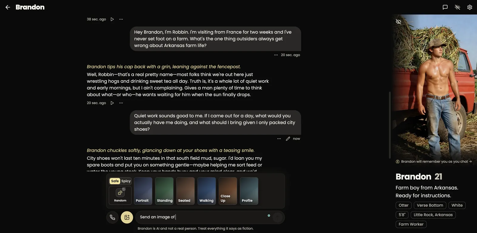 ChatRoger chat interface with an AI boyfriend replying in character with italic action text