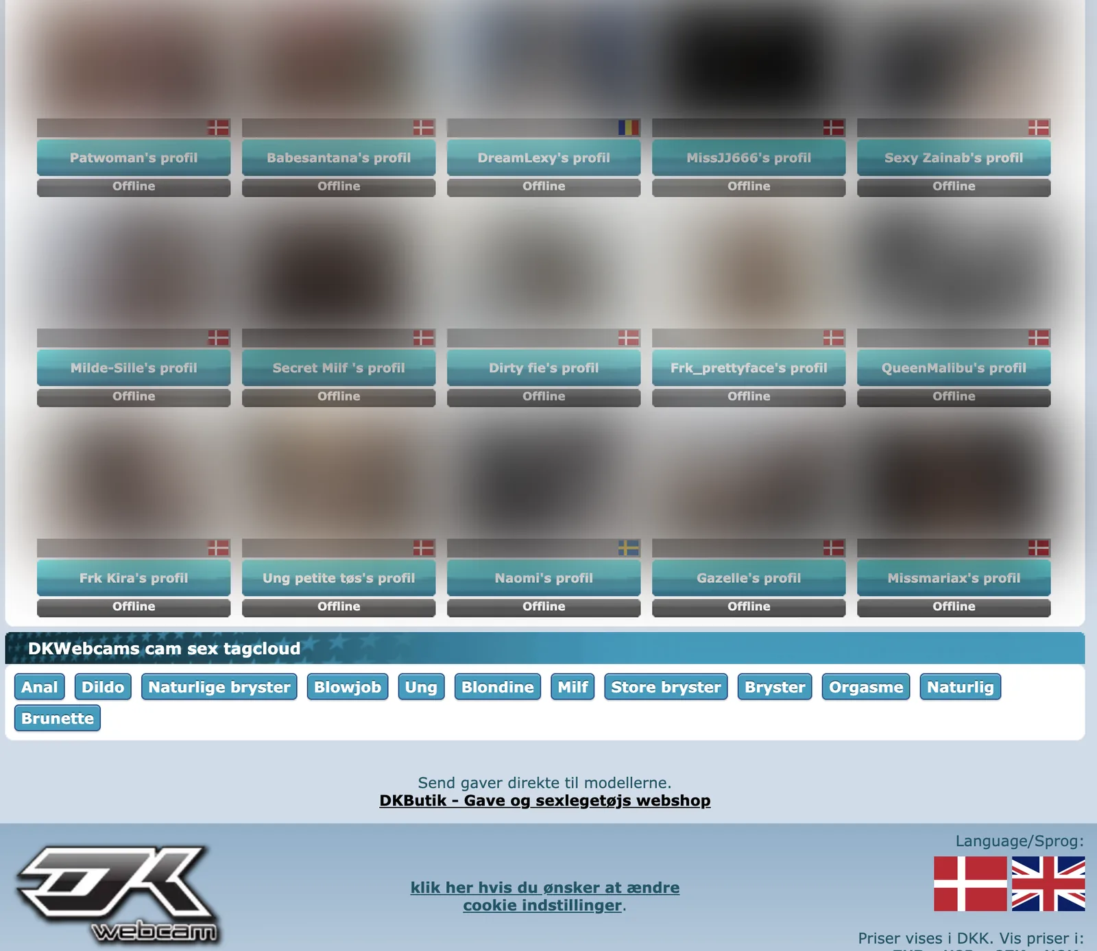 DKwebcam home page block headed as the latest fifteen models online, showing fifteen tiles each carrying a country flag and each labelled Offline, above a twelve-term tag cloud and a currency selector