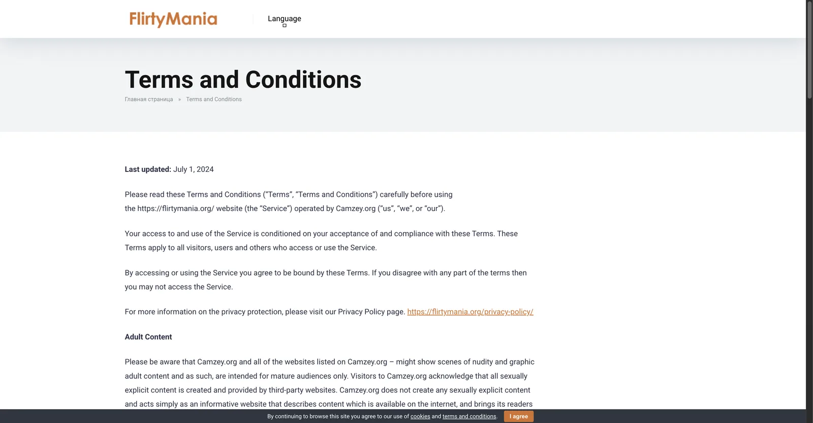FlirtyMania terms and conditions page stating the website is operated by Camzey.org and describing Camzey.org as an informative website that describes content available on other sites