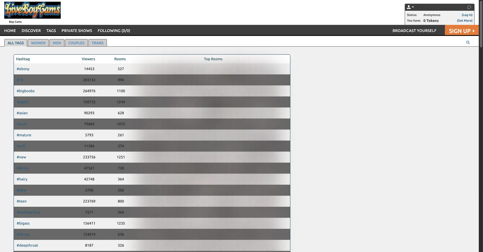 Live Cam Boys tags page listing hashtags with viewer counts and room counts, showing bigboobs at 264976 viewers across 1100 rooms