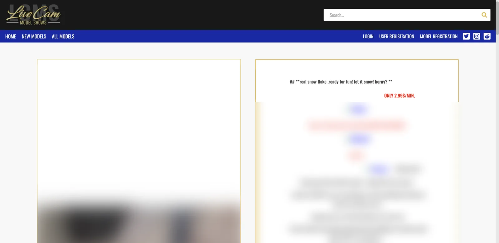 LiveCamModelShows performer page showing a self-written sales panel with a per-minute rate highlighted in red at the top, with the messenger contact details and service text below it obscured