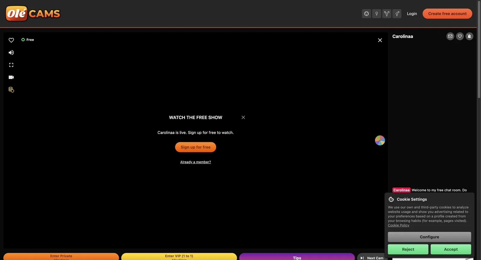 OleCams room page showing a free show panel inviting signup, with enter private and enter VIP buttons carrying per-minute credit rates along the bottom