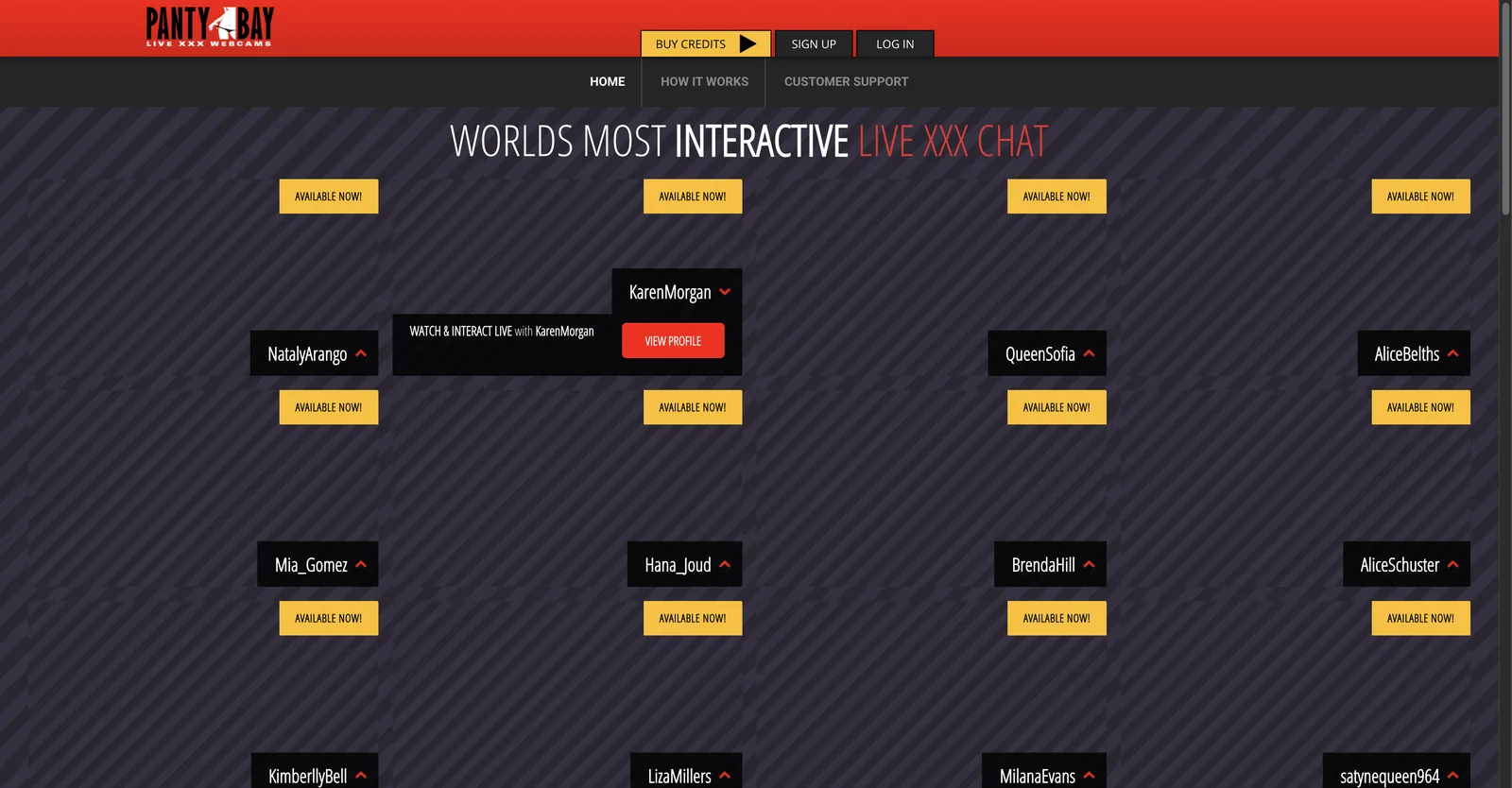 PantyBay home page headed as the world's most interactive live XXX chat, showing a grid where every tile is blank with no thumbnail, carrying only a name label and a yellow available now badge