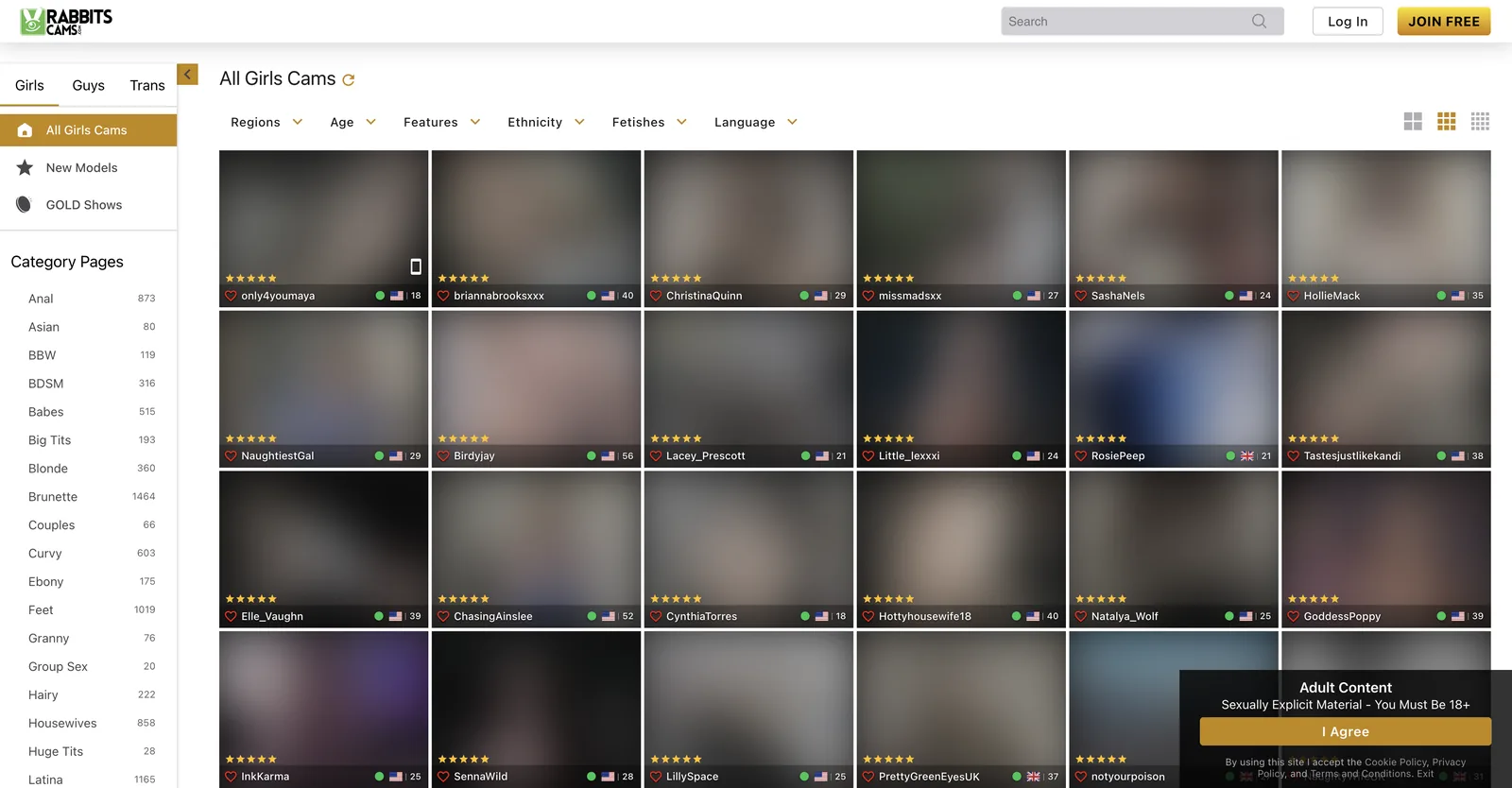 RabbitsCams home page with Girls, Guys and Trans tabs, a counted category rail, grid tiles carrying ages and country flags, and an adult content age gate panel in the corner