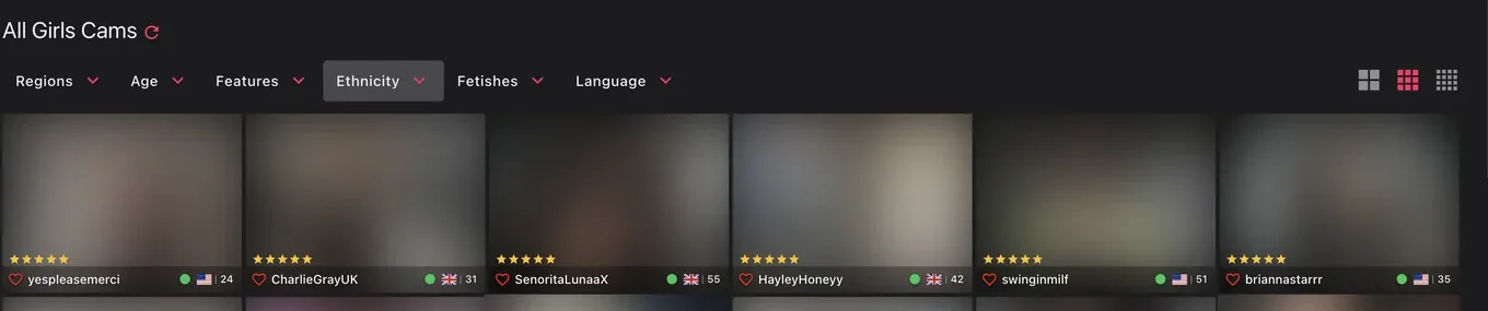 SextPanther Cams filter row showing Regions, Age, Features, Ethnicity, Fetishes and Language dropdowns above tiles carrying ages, country flags and star ratings