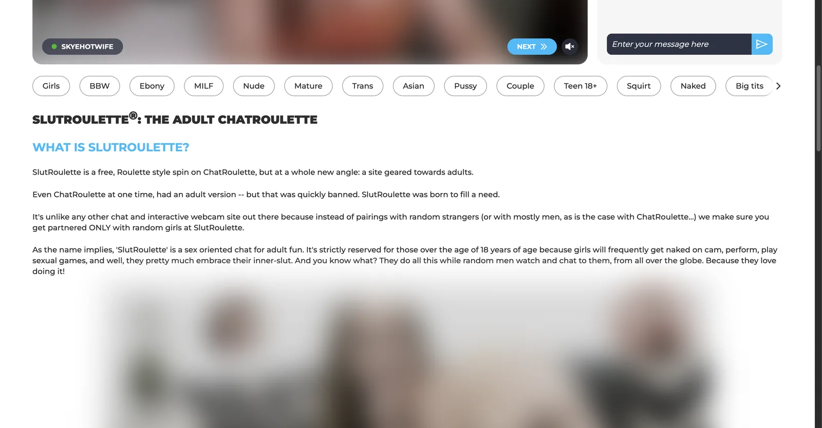 SlutRoulette tag rail and marketing copy explaining the roulette format, stating that viewers are paired only with women and that performers are providing a service