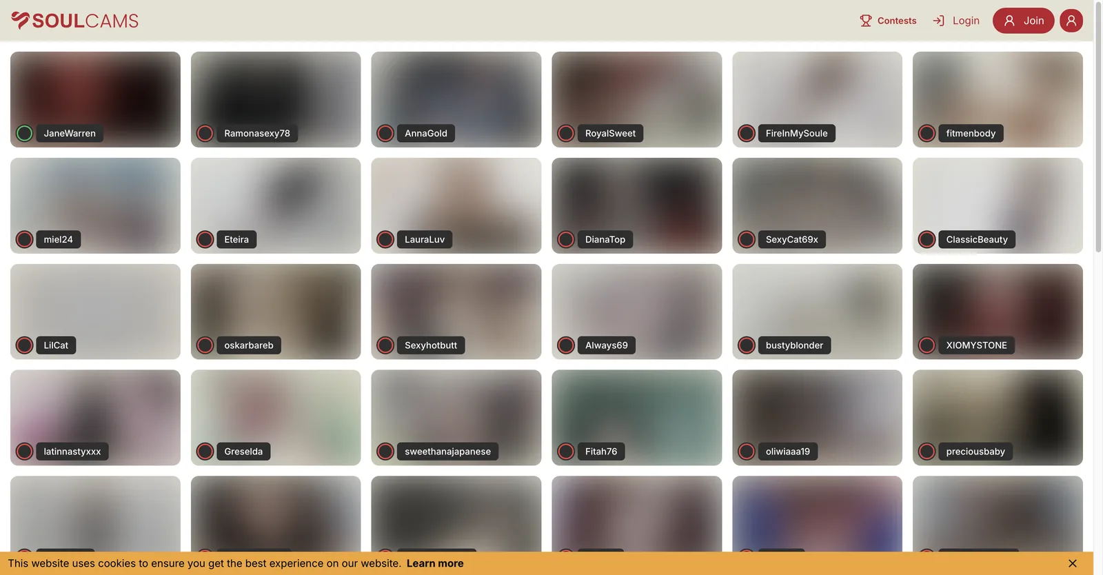 SoulCams home grid listing the roster with a coloured ring on each tile marking whether the model is online or offline
