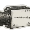 SpankBang Live Review (2026) — Pippin Club review
