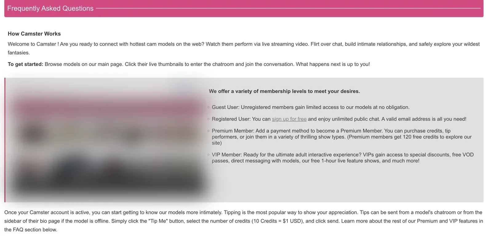 Camster FAQ page describing guest, registered, premium and VIP membership levels and stating that ten credits equal one US dollar