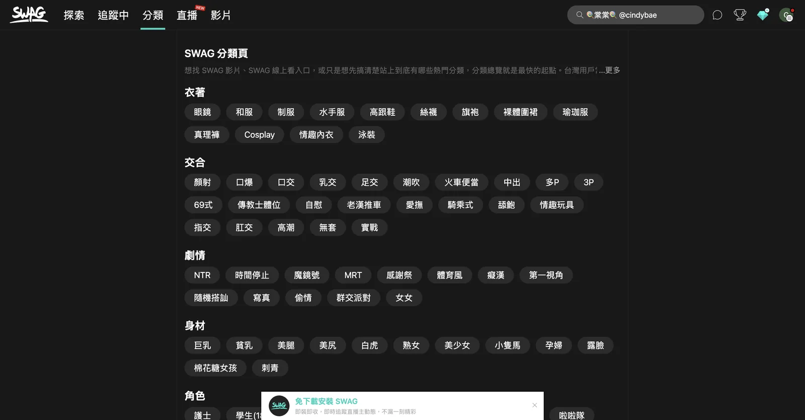 SWAG category overview page listing tag groups for clothing, acts, scenario and body type across dozens of individual tags