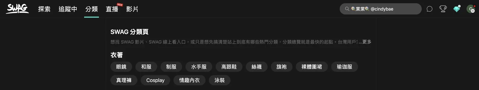 SWAG category page with the whole interface and navigation in Traditional Chinese, showing a clothing tag group