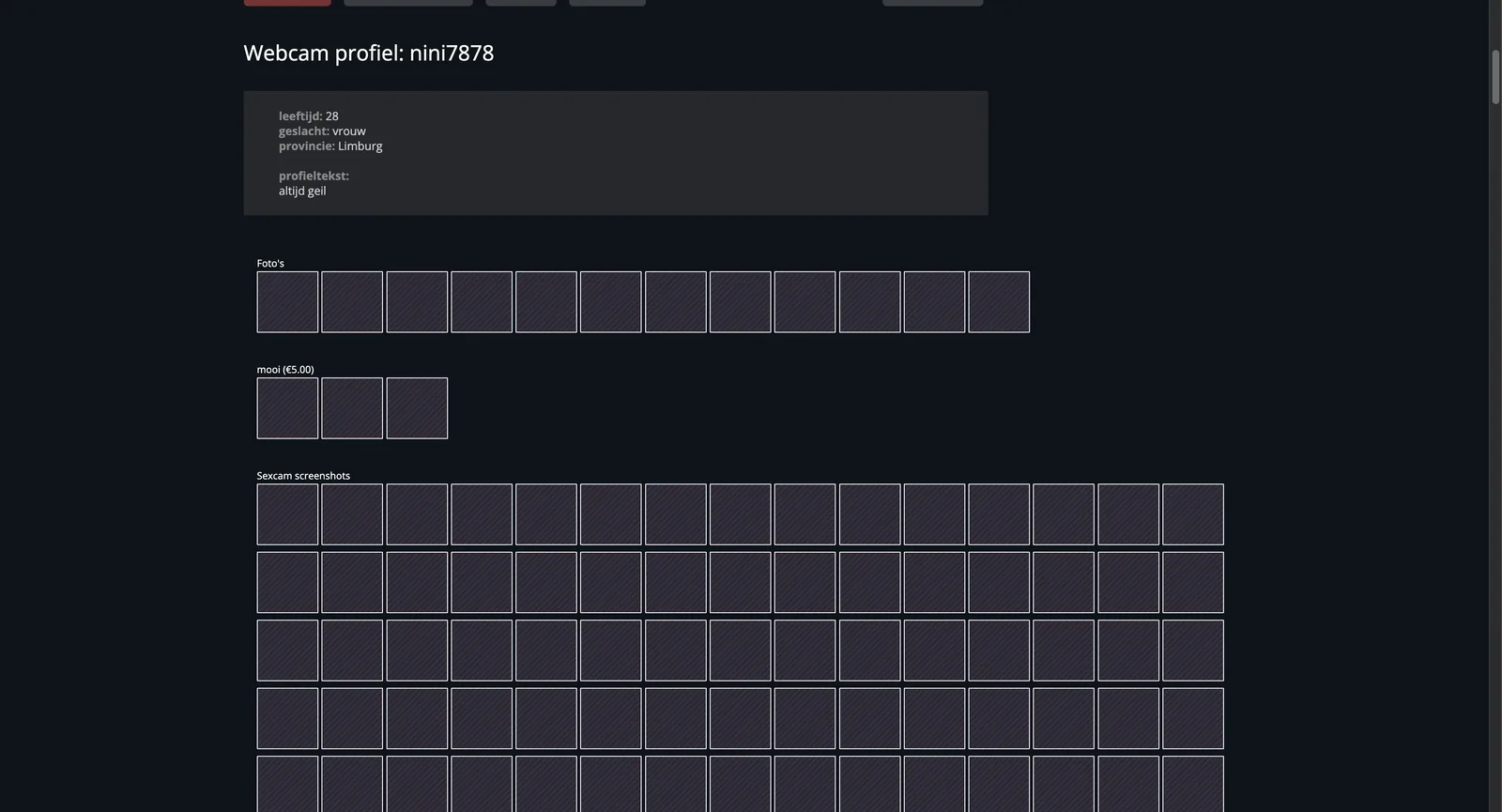 Webcam-sex.nl profile showing age, gender and province fields above a photo section of twelve empty frames, a paid photo set priced at five euros with three empty frames, and dozens of empty automatically captured stills