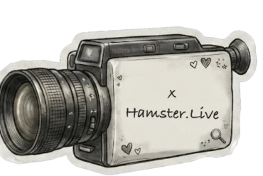xHamster.Live Review (2026) — Pippin Club review