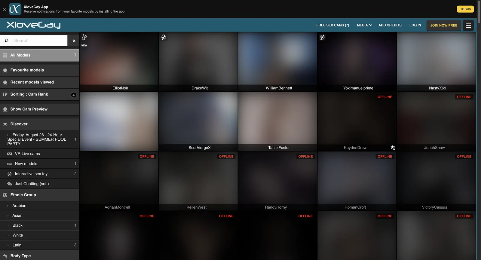 XLoveGay home page with a sidebar showing all models counted as seven and filter groups for ethnic group and body type each carrying small counts, beside a grid where most tiles are marked offline