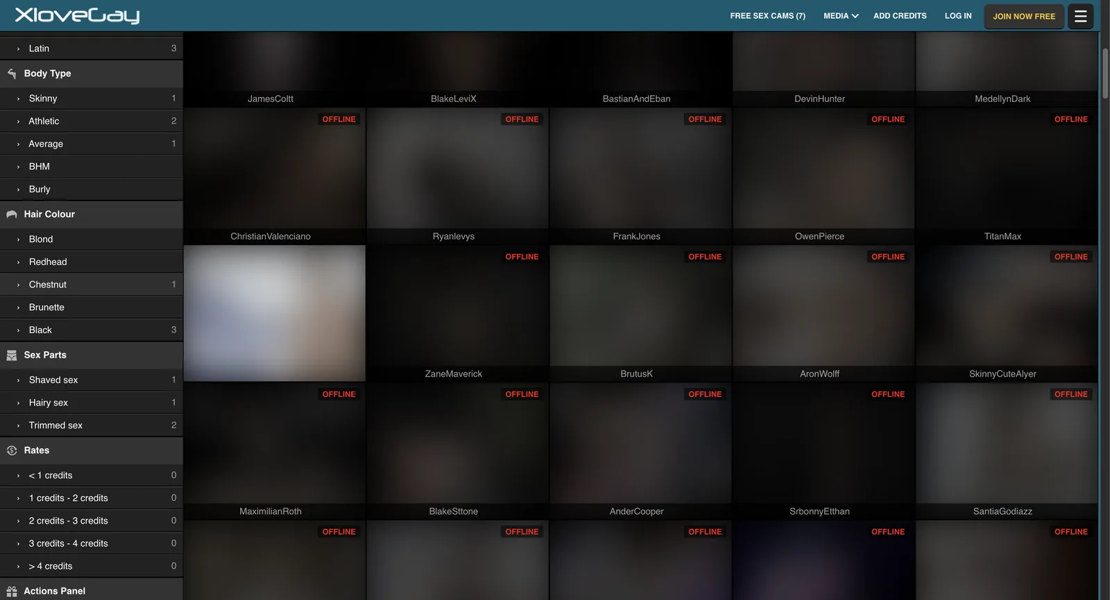 XLoveGay sidebar showing hair colour, sex parts and a rates filter whose five credit bands each read zero, beside a grid of tiles almost all labelled offline