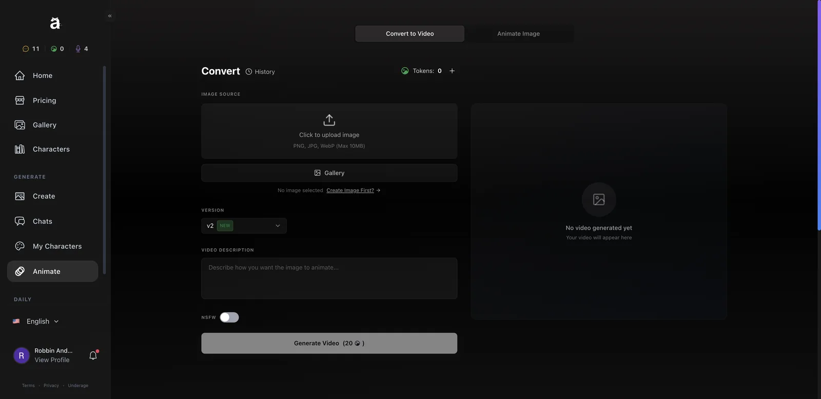Anione Convert to Video tool with image source, version and video description fields